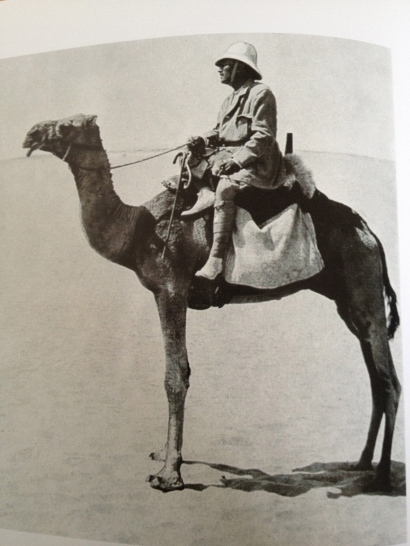 Sven Hedin på kamel. Bilden från Hvar 8 dag, vol. 10:17, 1909.